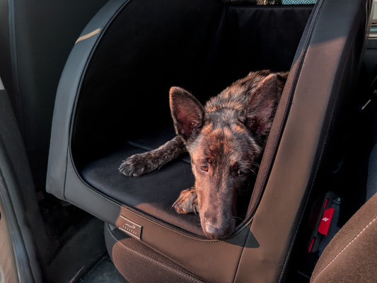 Hundebox-auf-Rechnung-kaufen-So-einfach-geht-s DOXAFER®