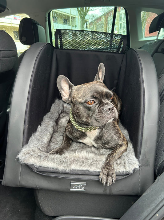 Warum-jeder-Hund-einen-Autositz-braucht-Sicherheit-Komfort-im-Auto DOXAFER®