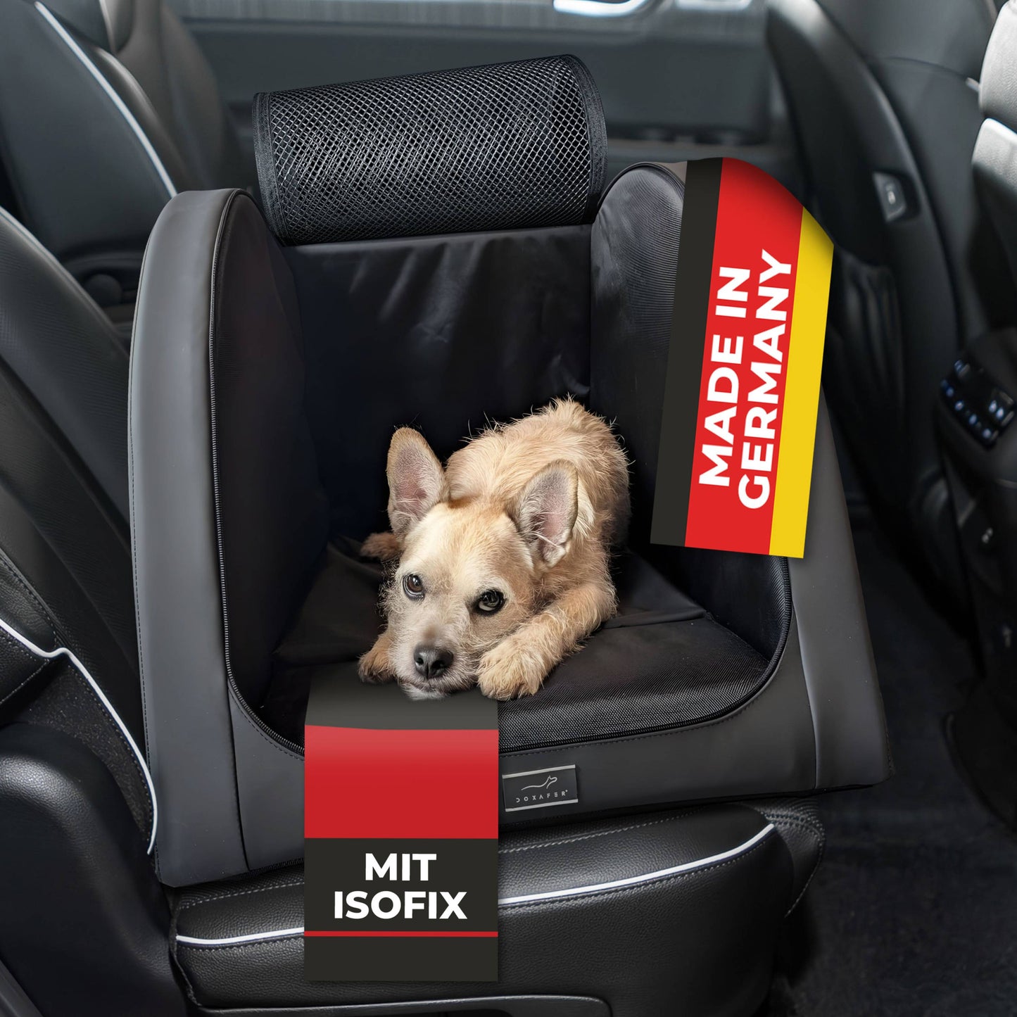 DOXAFER® vogue isofix - Deine sichere Transportbox