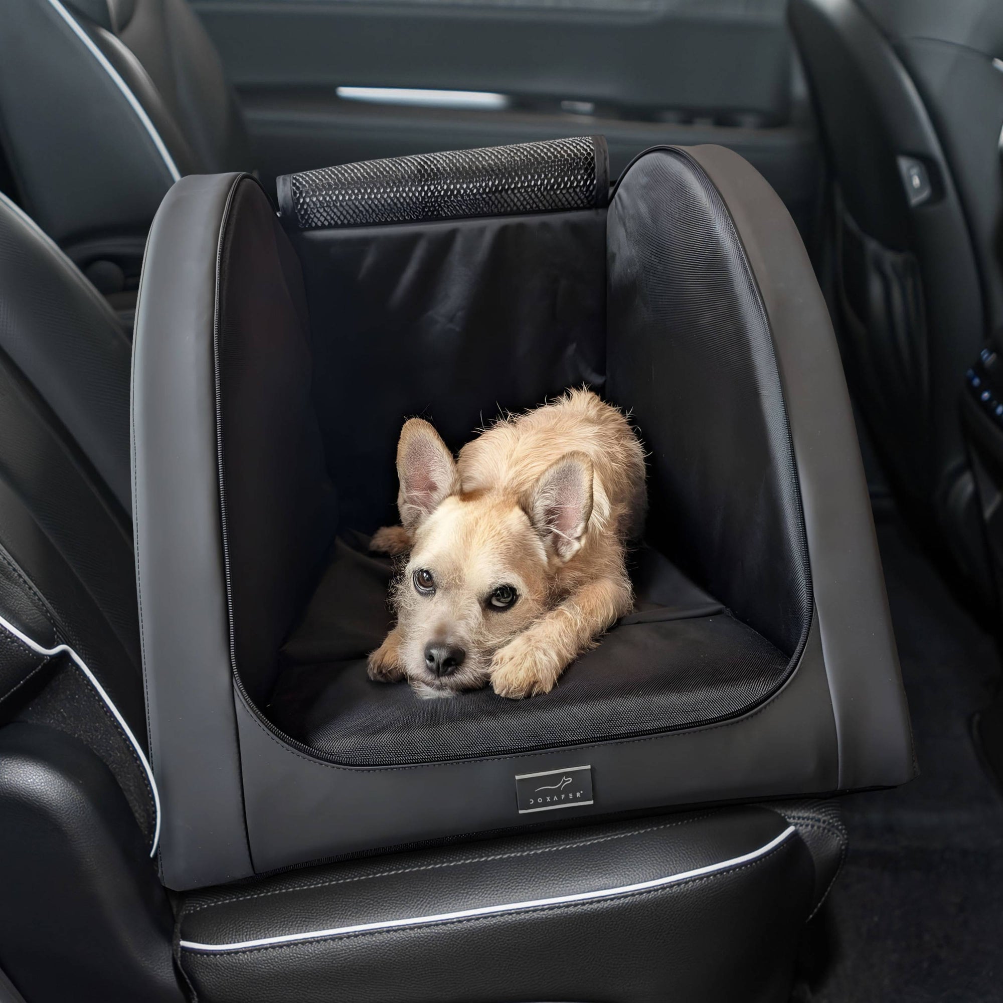Luxus Hundebox Rucksitzbank Isofix Ebenbild